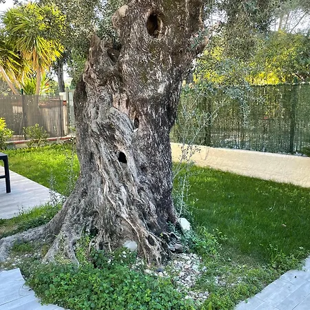 Joli Rez De Jardin 3 Pieces A Sur Cagnes-sur-Mer